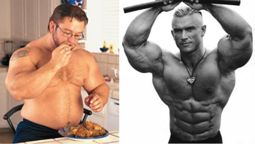 Understanding the Differences Between the Pre-Contest and Off-Season Periods in Bodybuilding