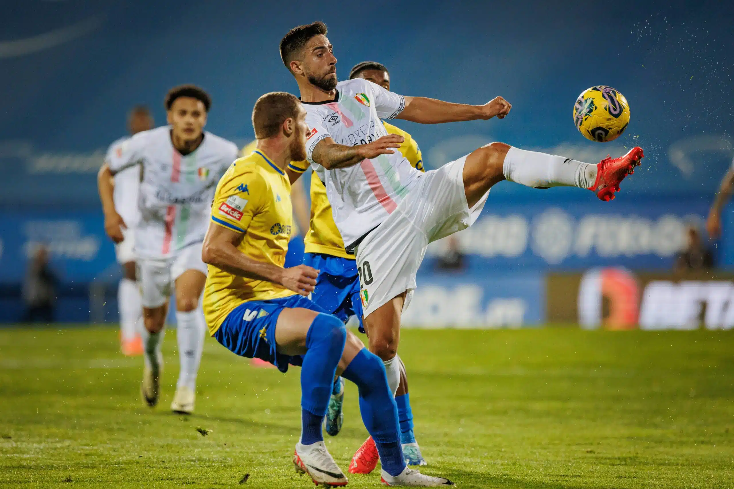 Palpites: Estrela Amadora x Casa Pia – Campeonato Portugués 31/08/24