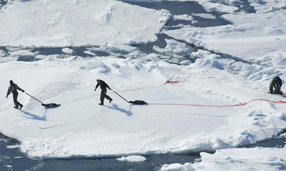 Fim da caçada a ‘mais procurado do Canadá’