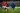 Palpites: Chelsea x Nottm Forest - Premier League - 06/10/24