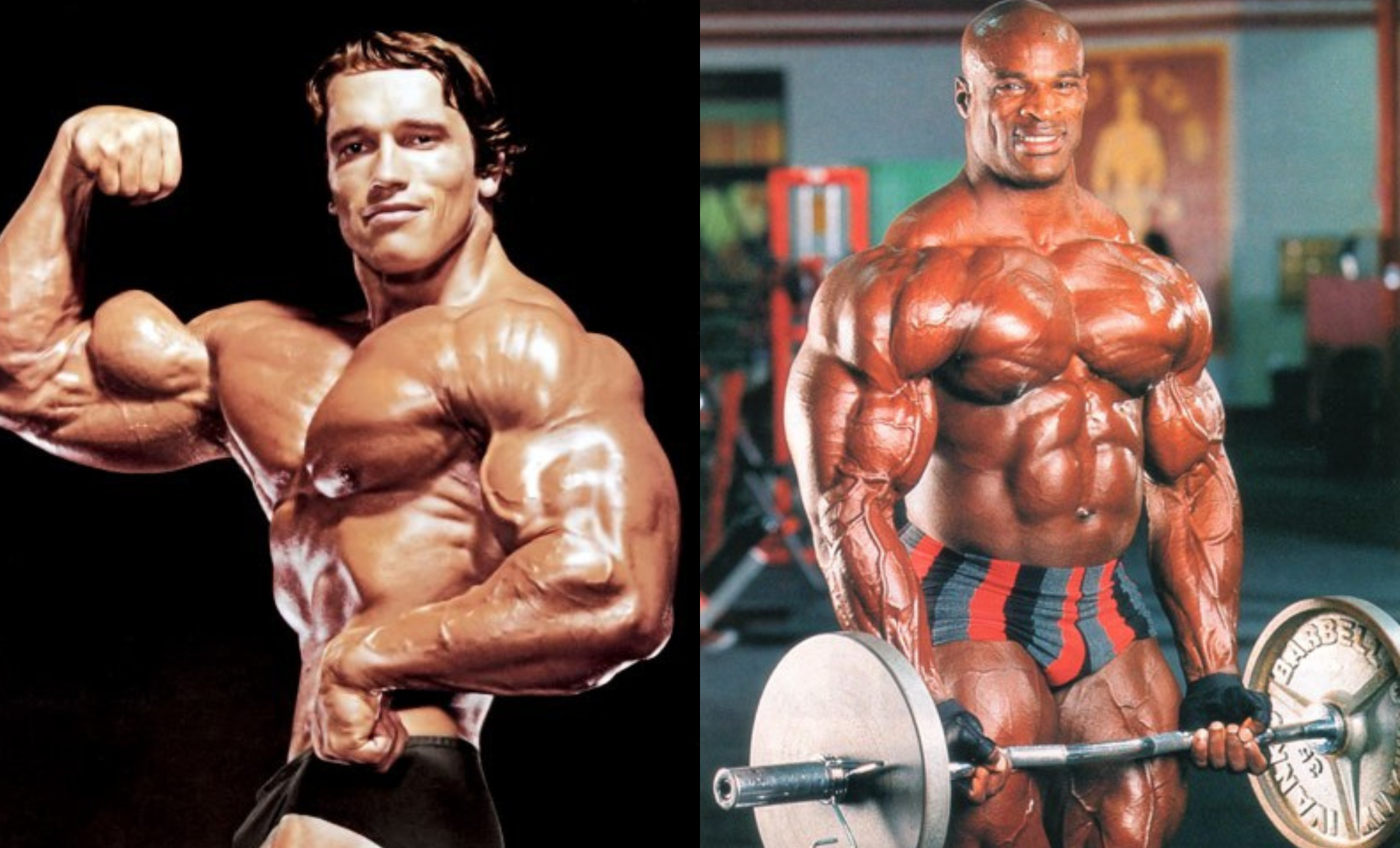 Conheça todos os campeões da história do Mr Olympia