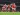 Palpites: Arsenal x Southampton - Premier League - 05/10/24